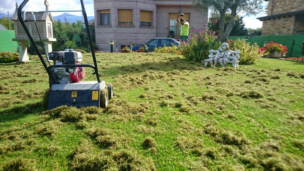 Escarificación y aireación de césped