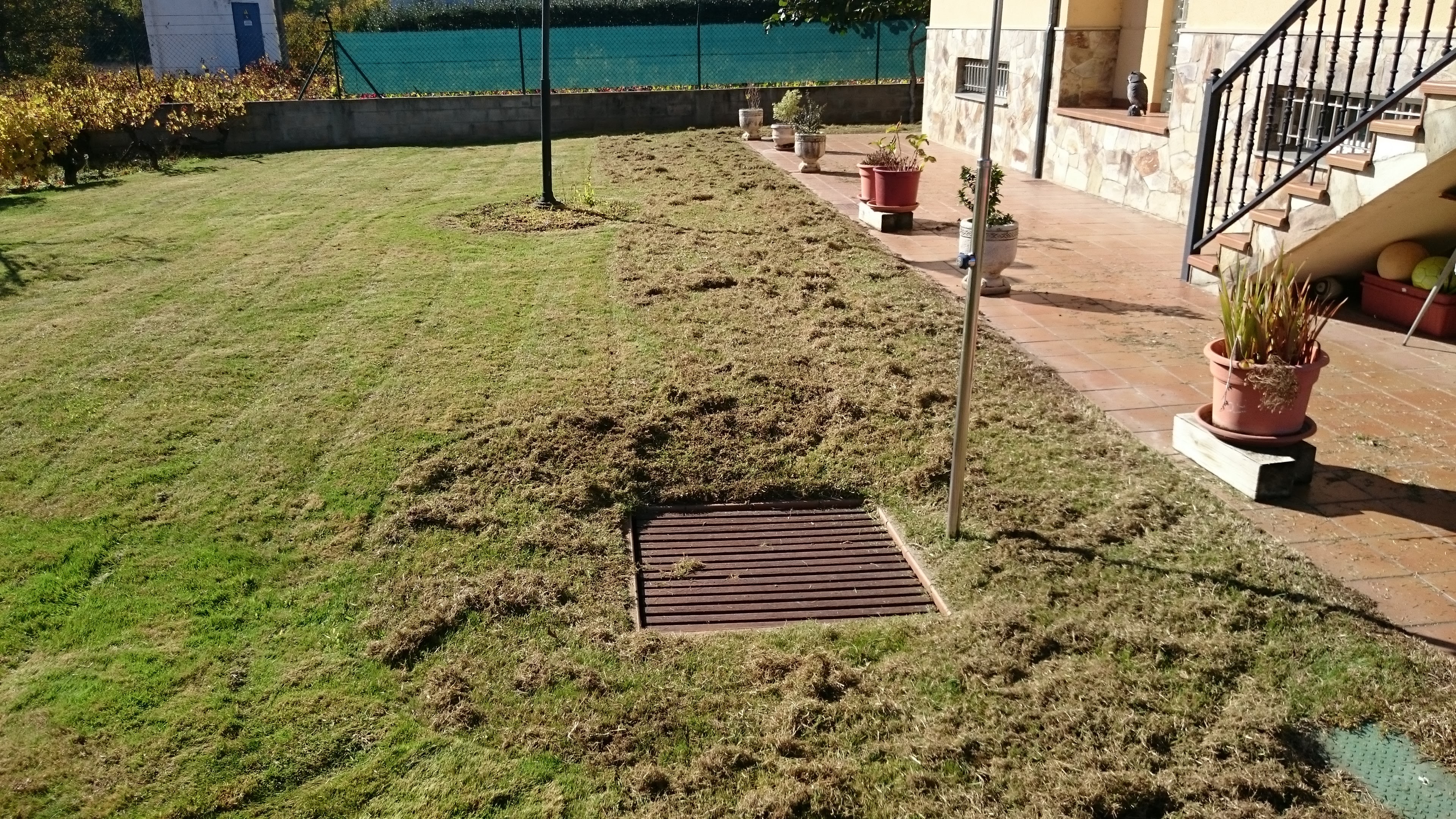 Mantenimiento de jardín en vivienda