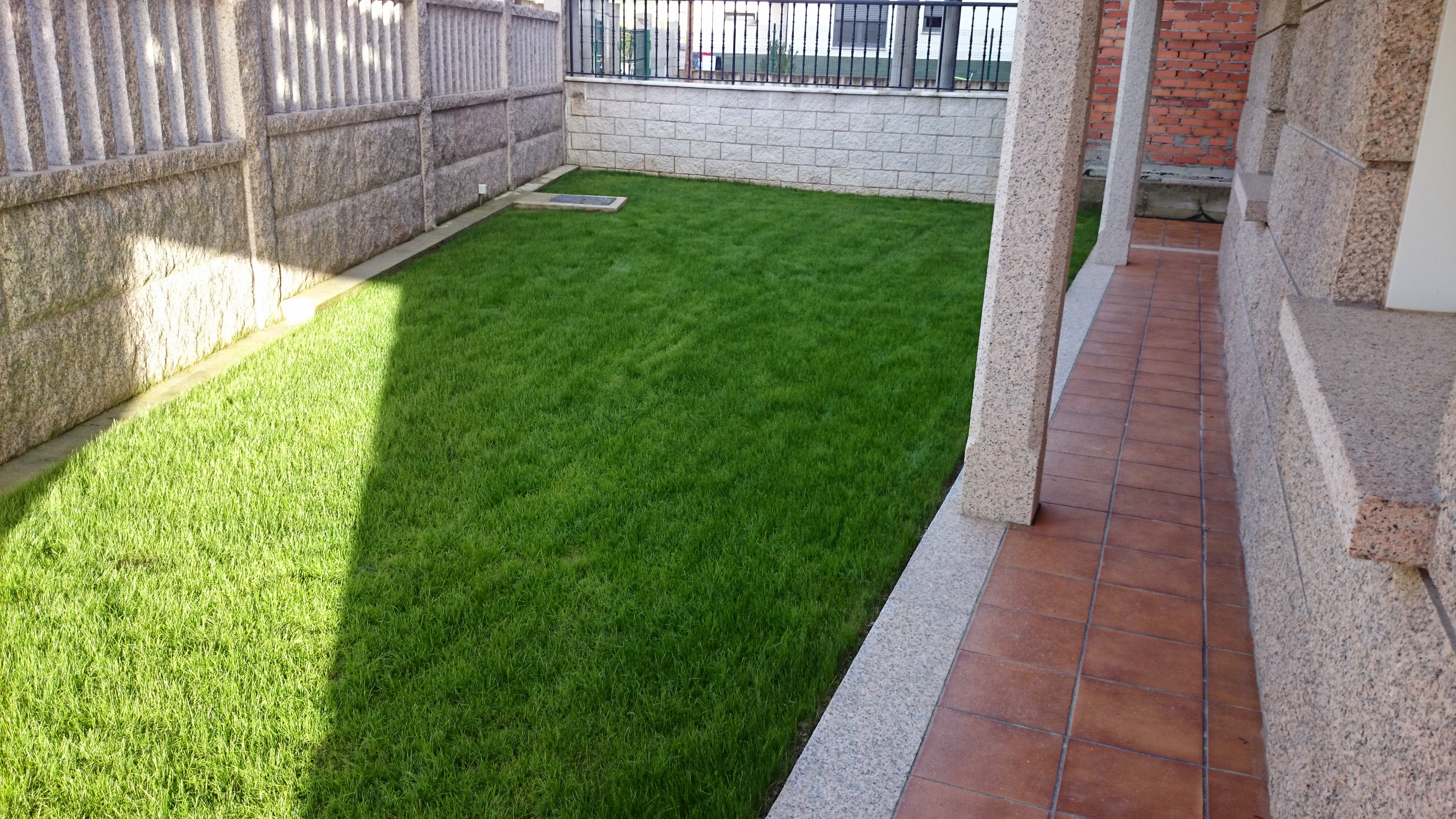 Césped recién instalado junto a pavimento